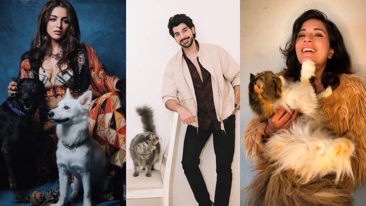 Bollywood shines with love for animals