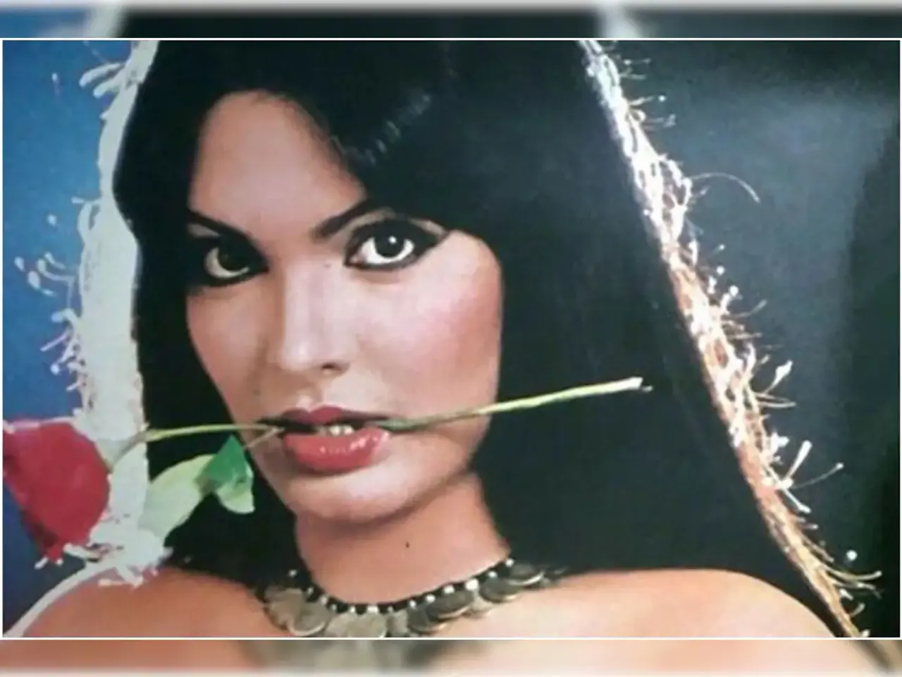 Birth Anniversay: कई शादीशुदा पुरुषों के साथ रहा Parveen Babi का संबंध, ऐसे हुई थी मौत