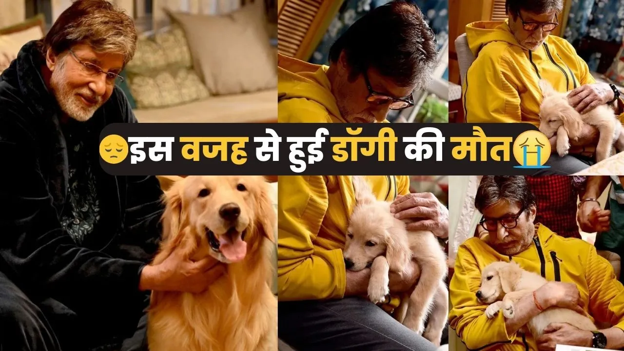 Amitabh Bachchan Pet Dog