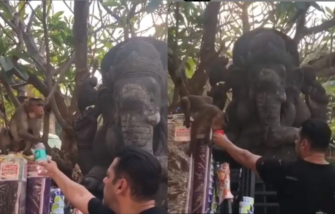 Video: सलमान खान ने की बंदर को पानी पिलाने की कोशिश, लेकिन अचानक डर गए दबंग, देखें मज़ेदार वीडियो