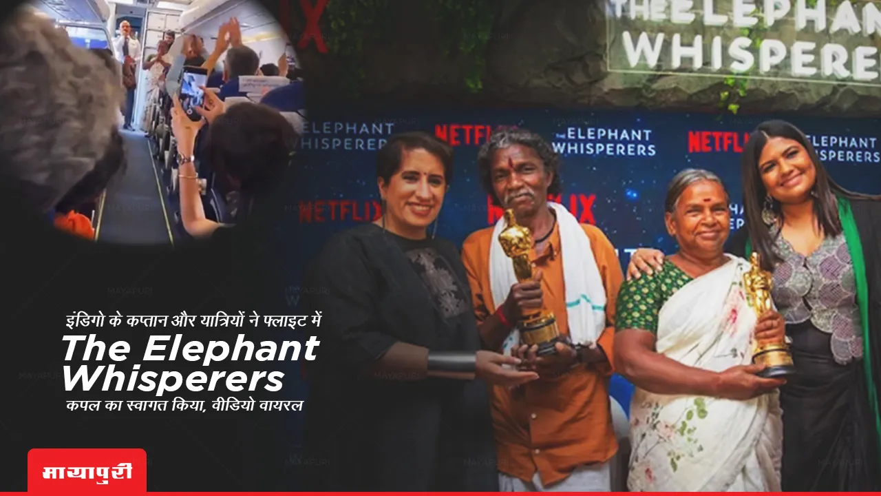 IndiGo The Elephant Whisperers