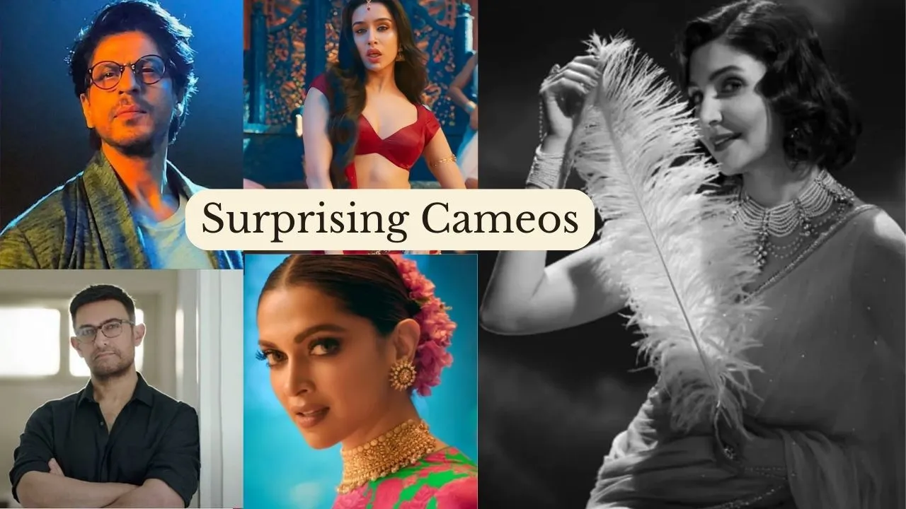 Unexpected Cameos hindi films 