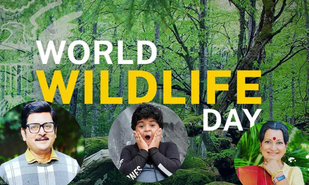 World Wildlife Day: कलाकारों का जब हुआ जंगली जानवरों से सामना
