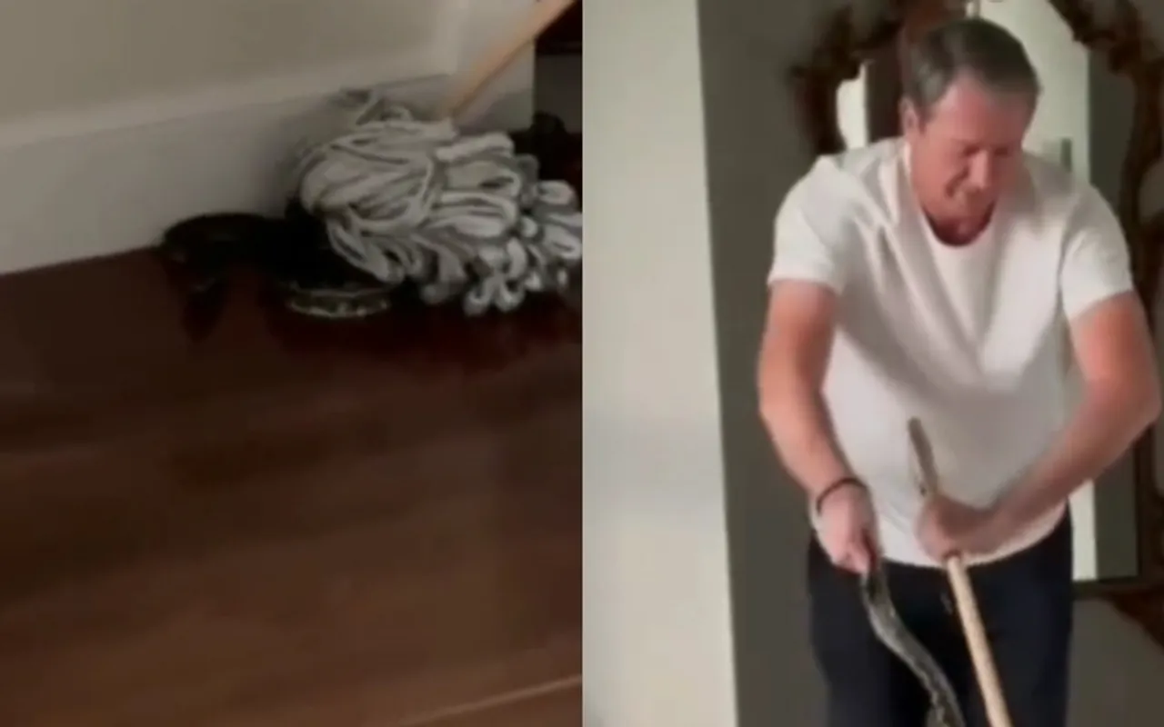 WATCH: Glenn McGrath takes out python using broom sticks