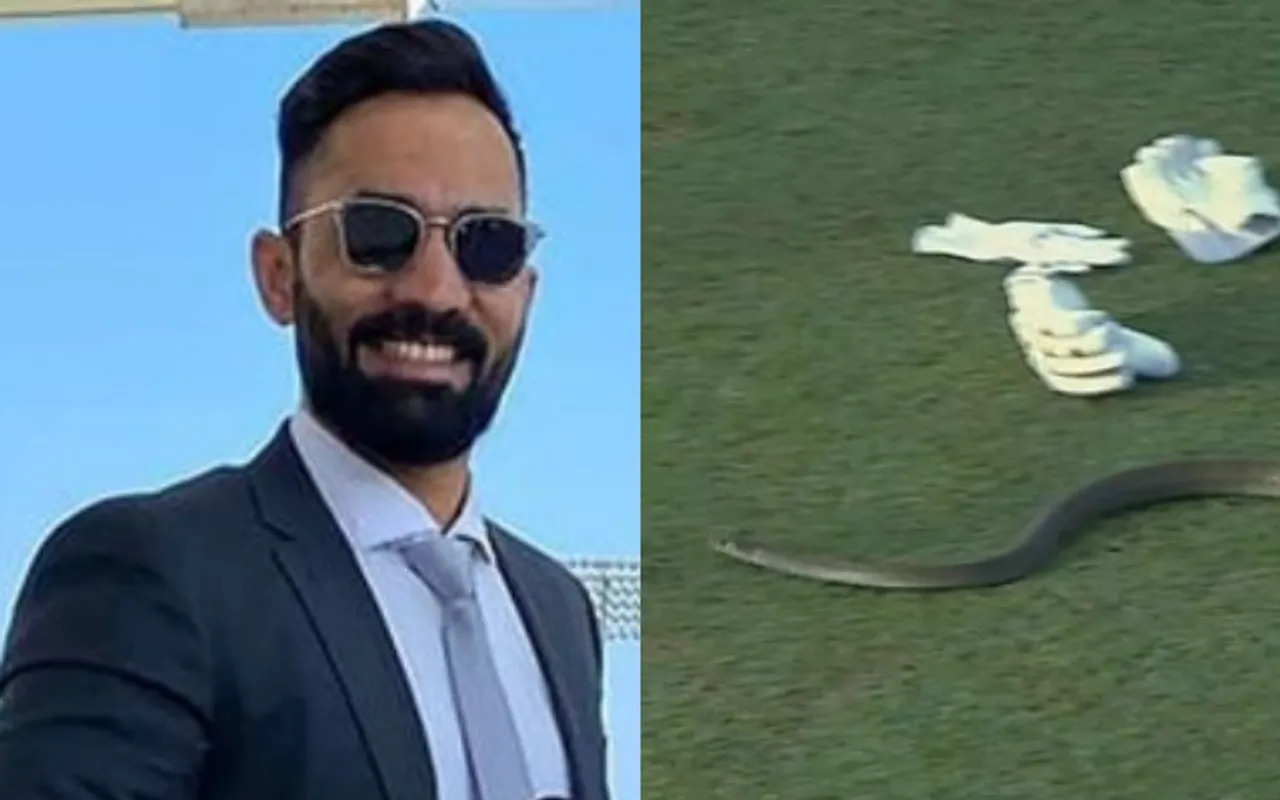 'Only DK can stop NaaginDance' - Fans react to Dinesh Karthik's 'The naagin is back' tweet as snake interrupts LPL 2023 game