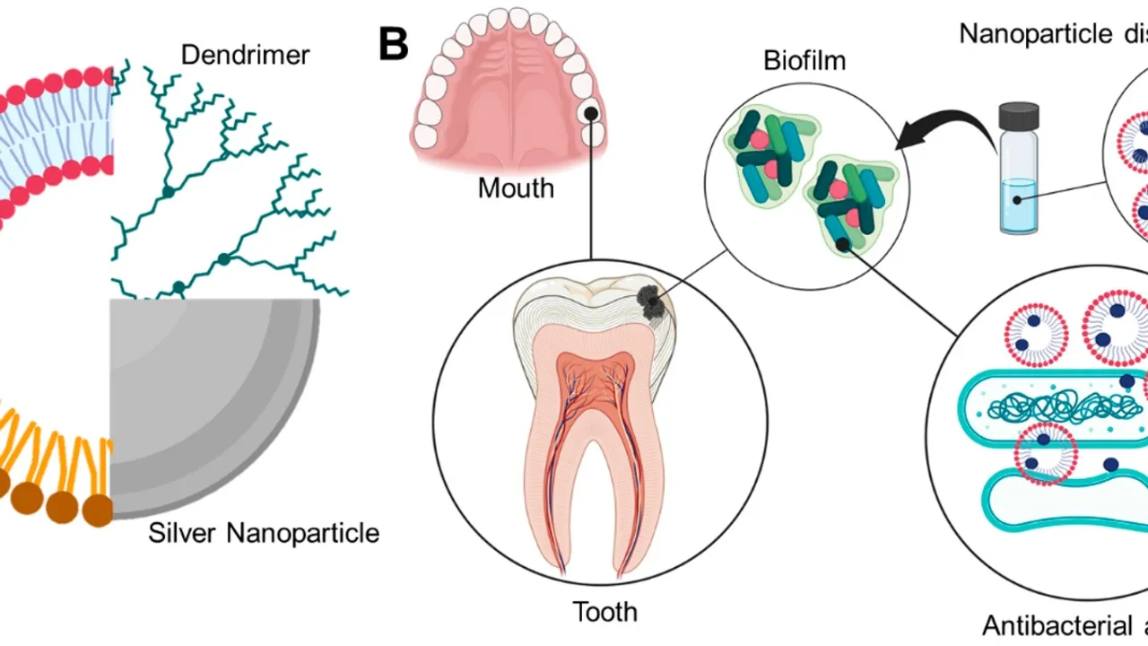 Revolutionizing Dental Care: New Study Validates the Efficacy of Ion-Releasing Liners in Caries Management