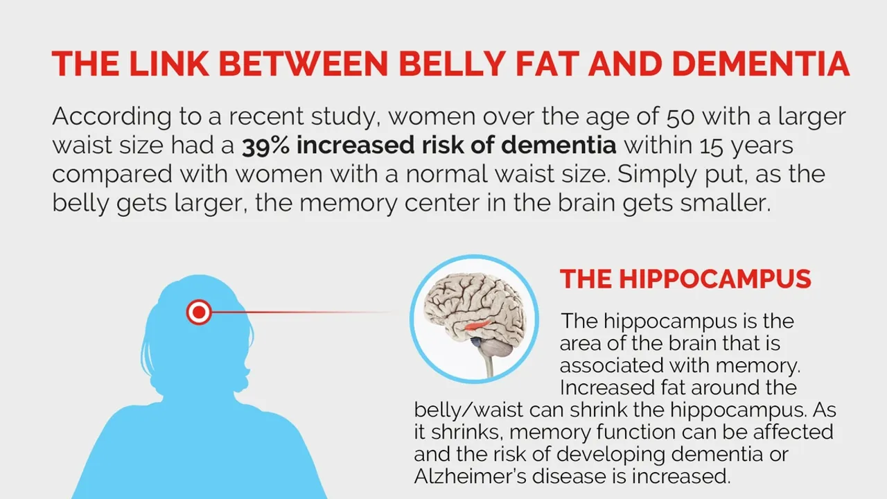 New Study Links Abdominal Fat to Cognitive Decline in High-Risk Alzheimer's Individuals