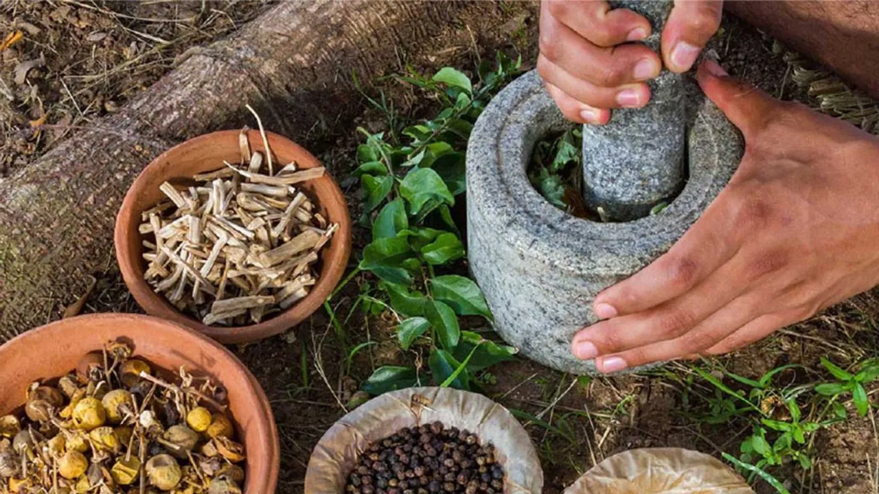 Bridging Traditions and Modernity: India's Bold Move to Integrate Traditional Healers into Its Healthcare System