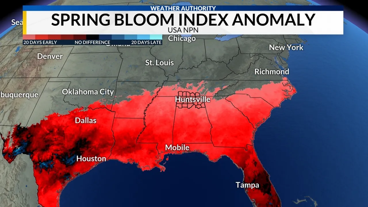 Houston Braces for a Sneezing Season: Spring Allergies Amp Up