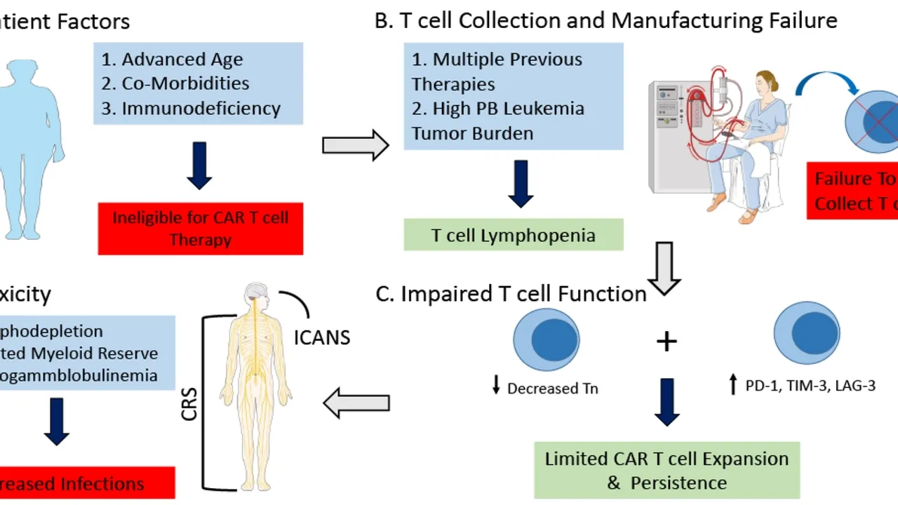 Revolutionizing Cancer Treatment: The Rise of Engineered T and NK Cells