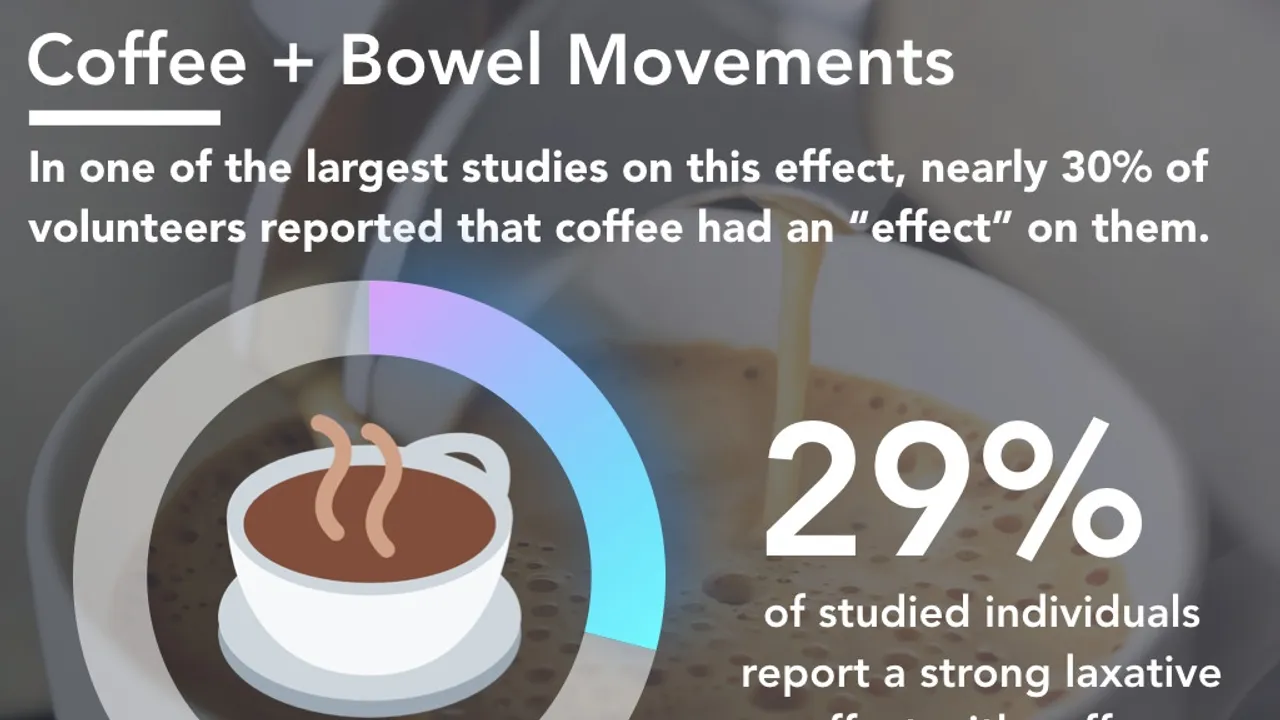 The Double-Edged Cup: How Coffee Influences Our Digestive Symphony