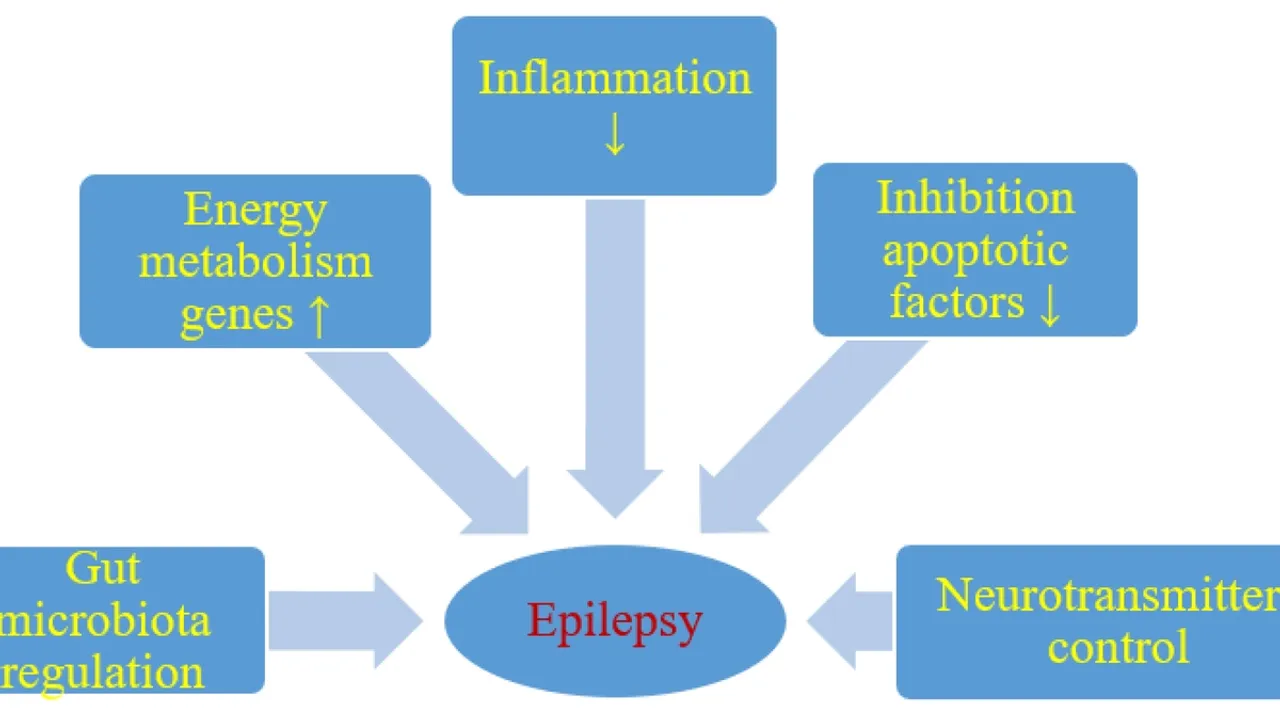Exploring the Ketogenic Diet: A Dual-Edged Sword in Epilepsy Management and Brain Metabolism