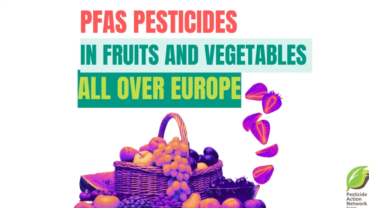 Rising Alarm as 'Forever Chemicals' in EU Fruits and Vegetables Triple Over a Decade