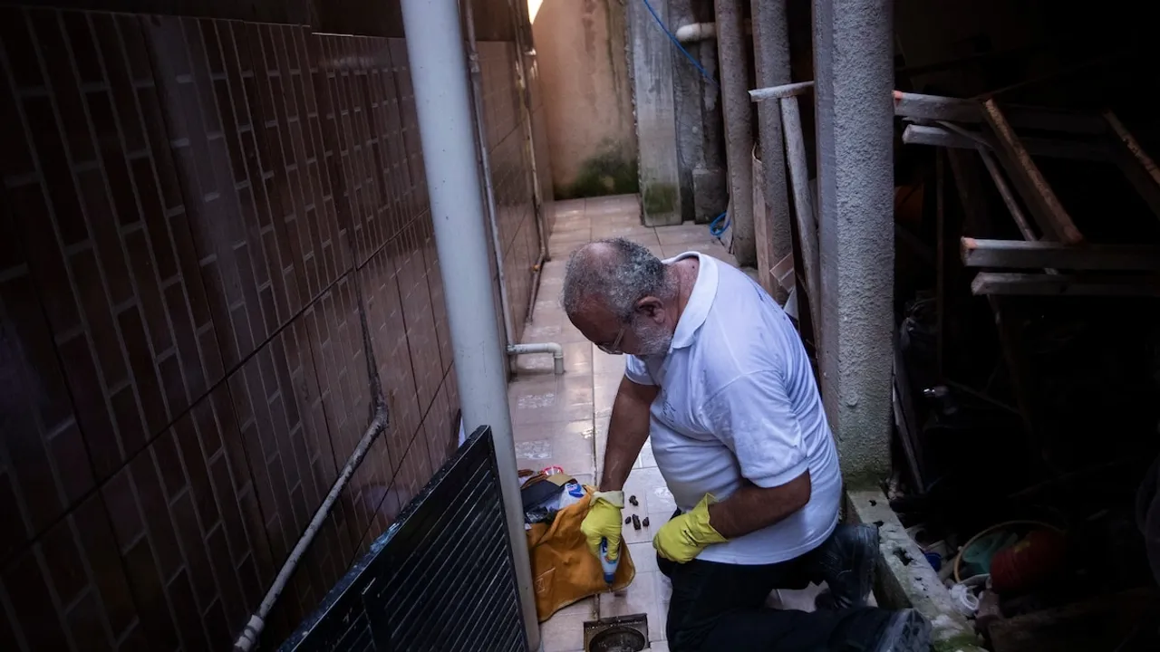 Innovative Mosquito Program Curbs Dengue Fever in Niteroi, Offering Hope Amid Rio's Outbreak