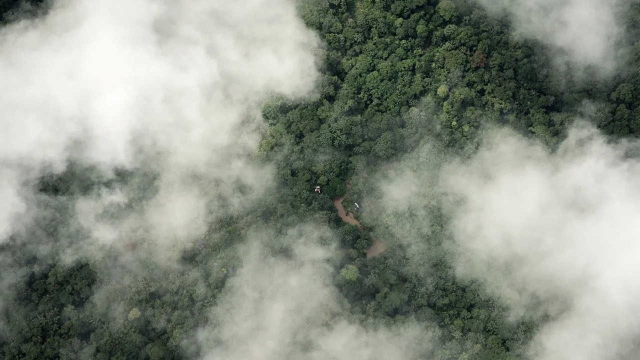 Harnessing Artificial Intelligence and Blockchain Technology for the Preservation of the Amazon Rainforest