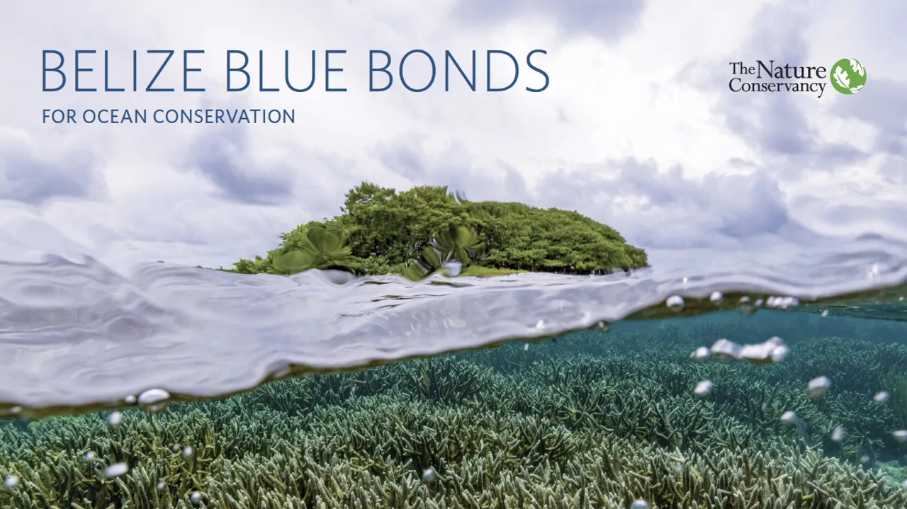 Blue Bonds: A Revolutionary Approach to Conservation and Debt Reduction