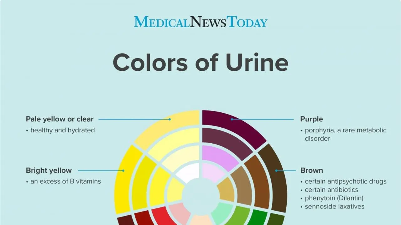 Understanding Urine Color and Smell Indicators of Your Health