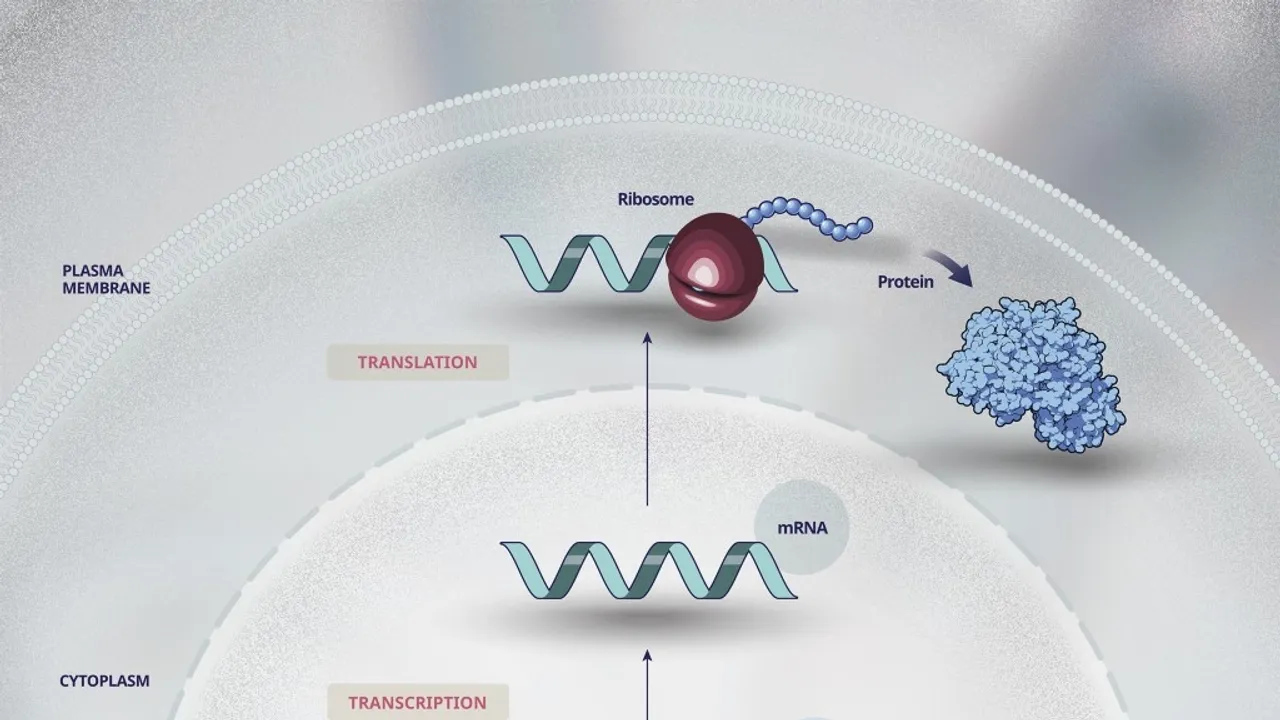 Gene Therapy Transforming the Future of Healthcare: A Deep Dive into the Latest Advancements