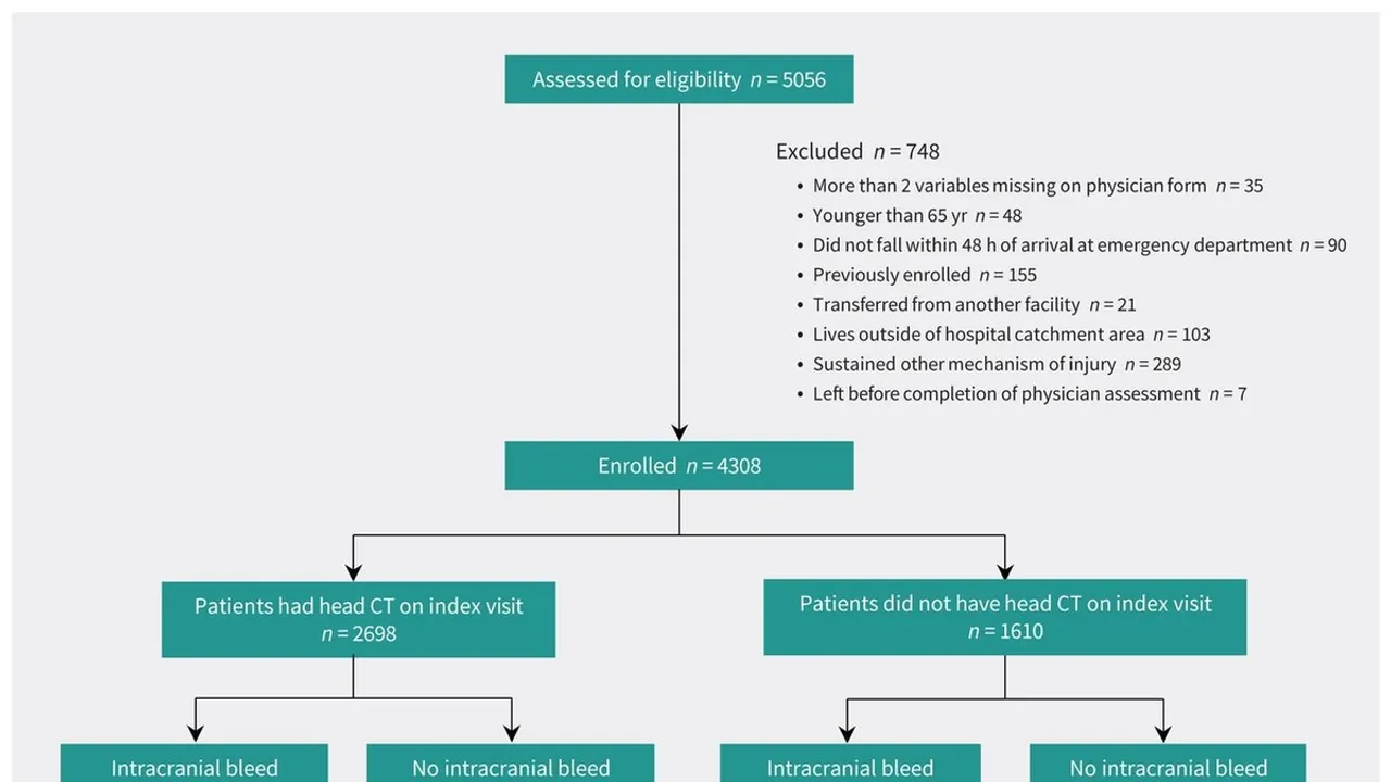 New falls decision rule: aiding physicians in efficiently detecting