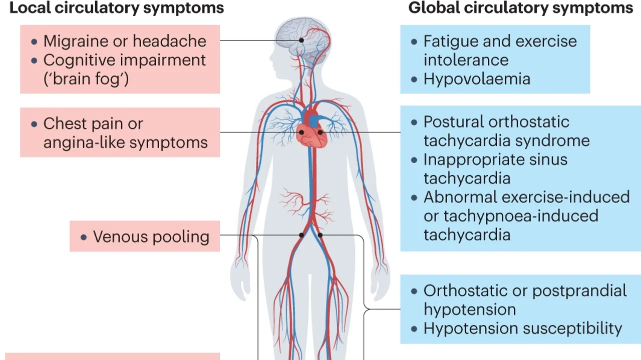 Understanding the Connection Between Long Covid and Cardiovascular Autonomic Dysfunction A Deep