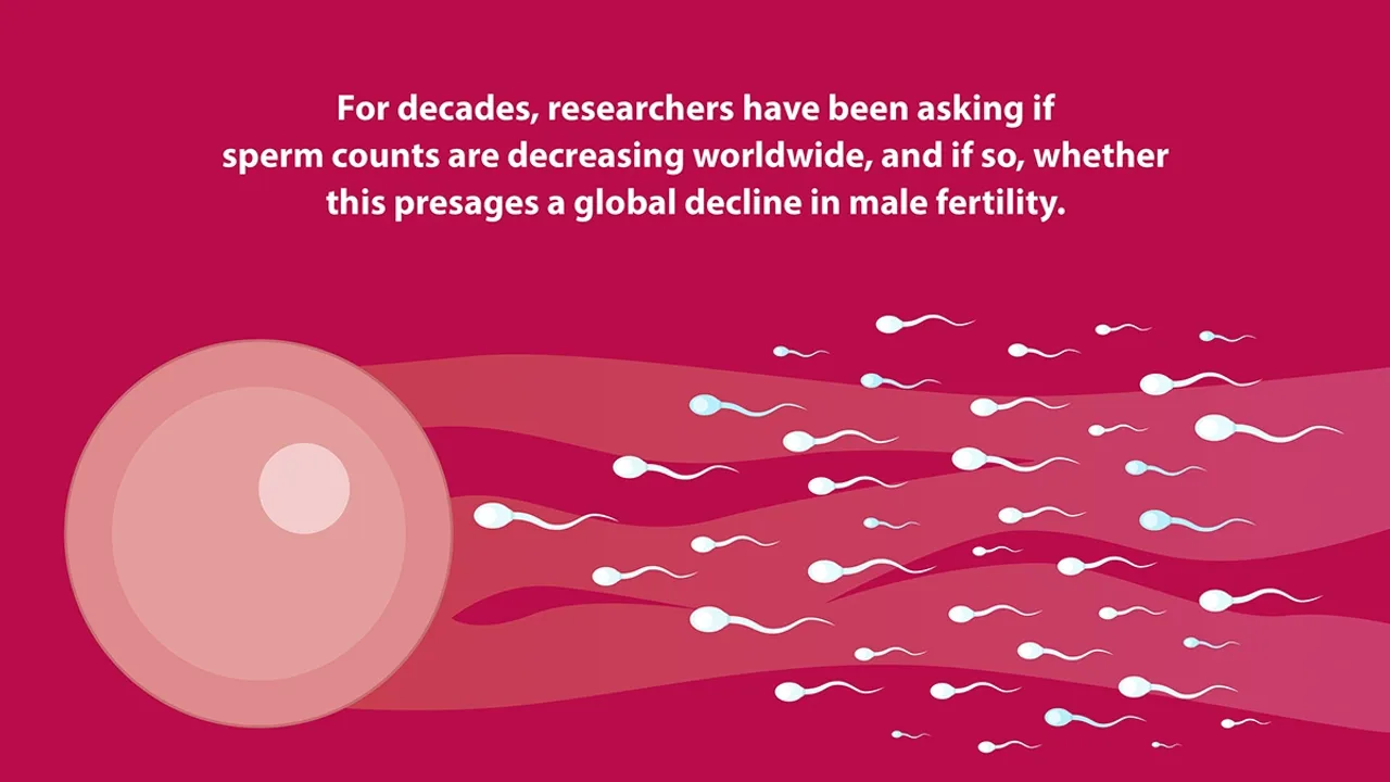 Understanding the Decline in Sperm Counts: Causes and Solutions