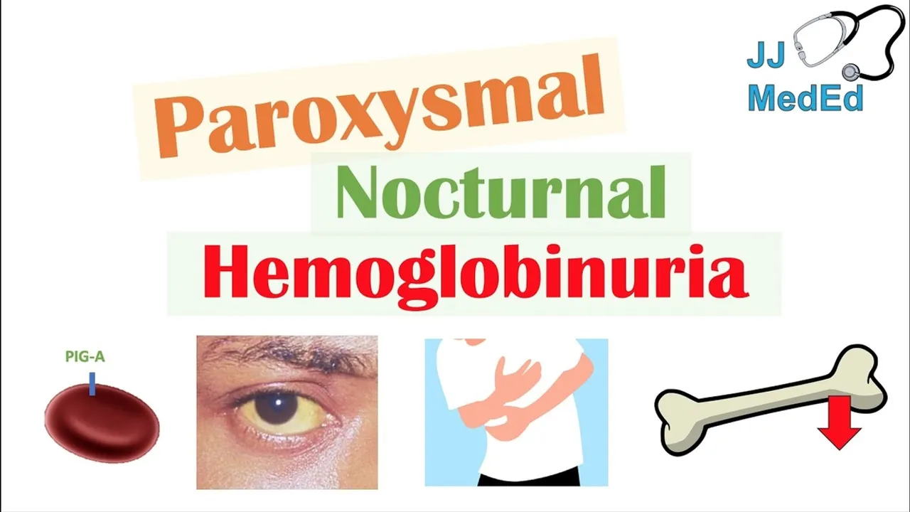 Understanding Paroxysmal Nocturnal Hemoglobinuria: A Comprehensive Guide