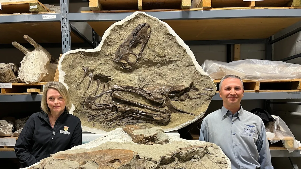Exploring Ancient Ecosystems through Tyrannosaur Fossils: Insights and Implications