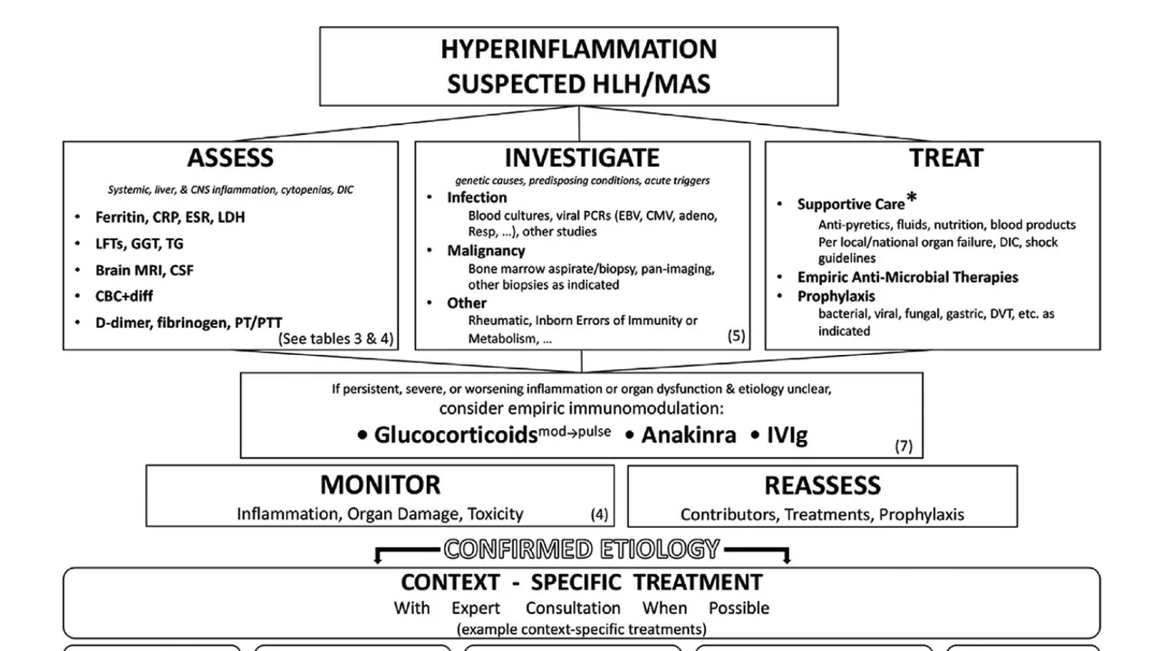 eular-guidelines-for-diagnosis-treatment-and-monitoring-of-hlh-and