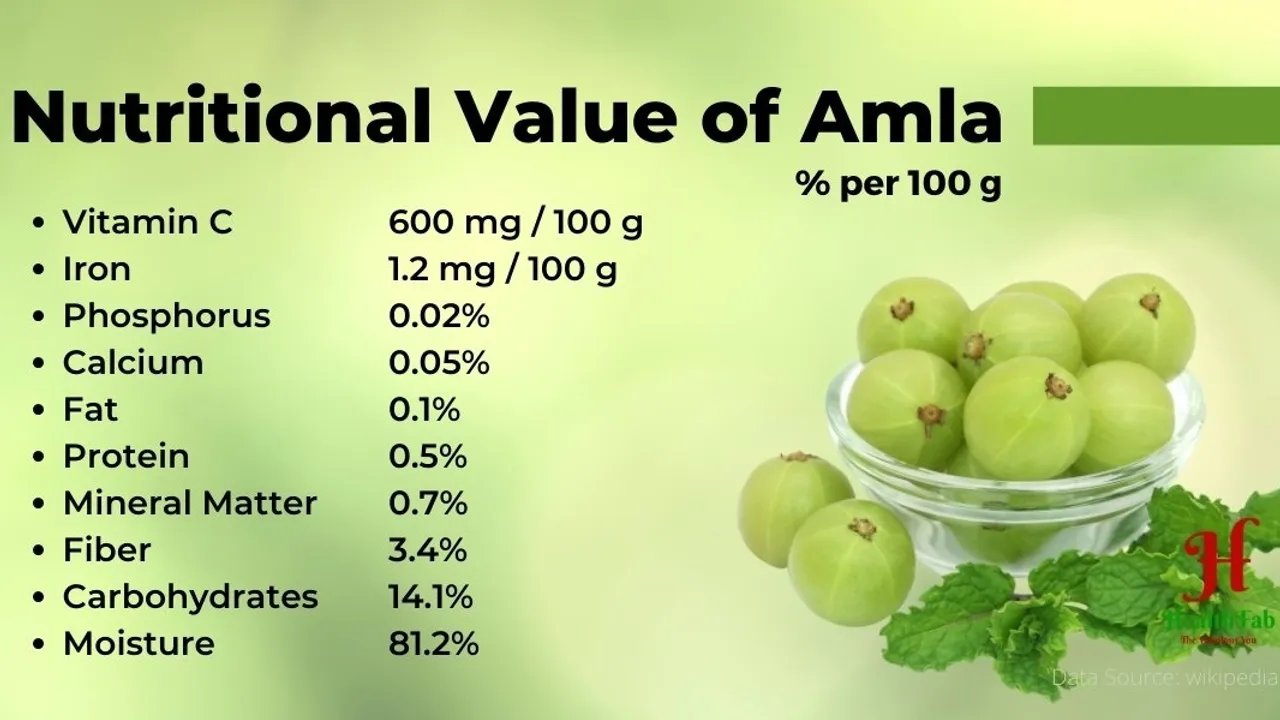 Discovering the Health Benefits of Amla Juice: An Ayurvedic Elixir