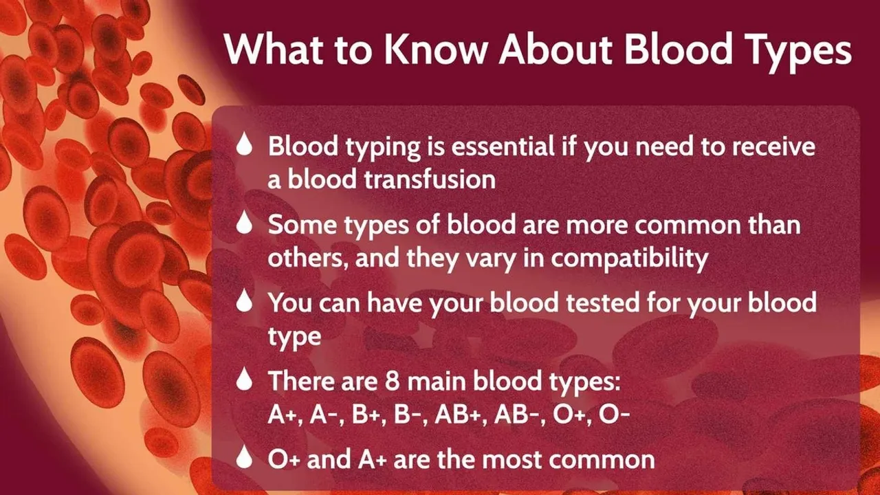 Understanding the Significance of Blood Types A Comprehensive Guide