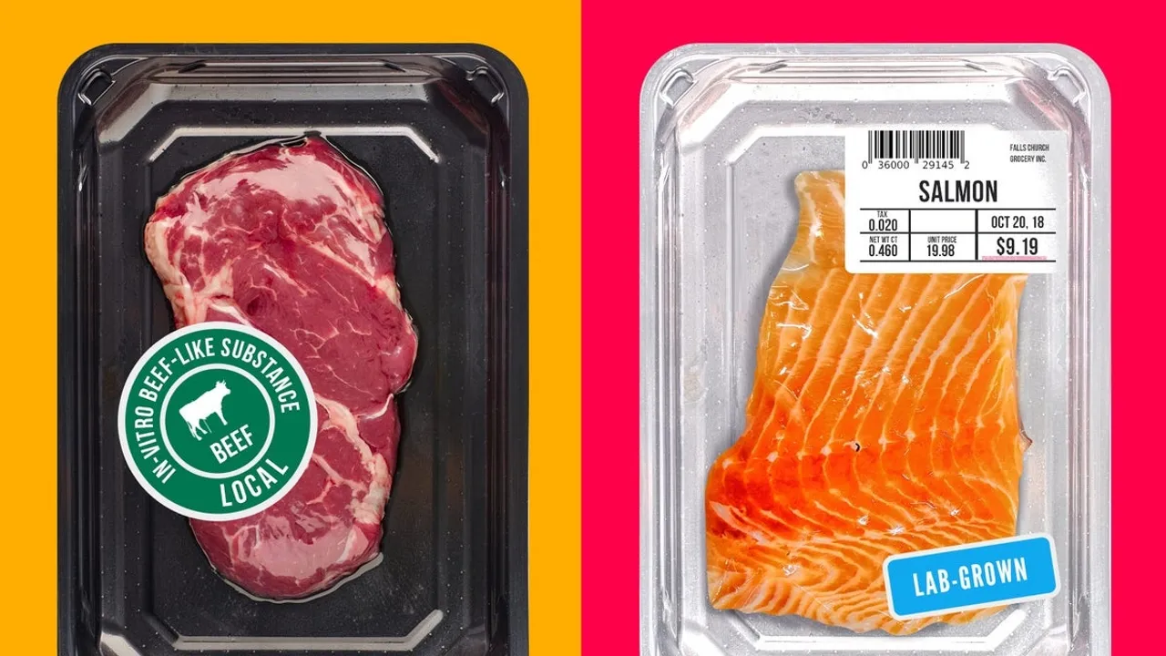 The Future of Food The Controversy and Impact of LabGrown Meat