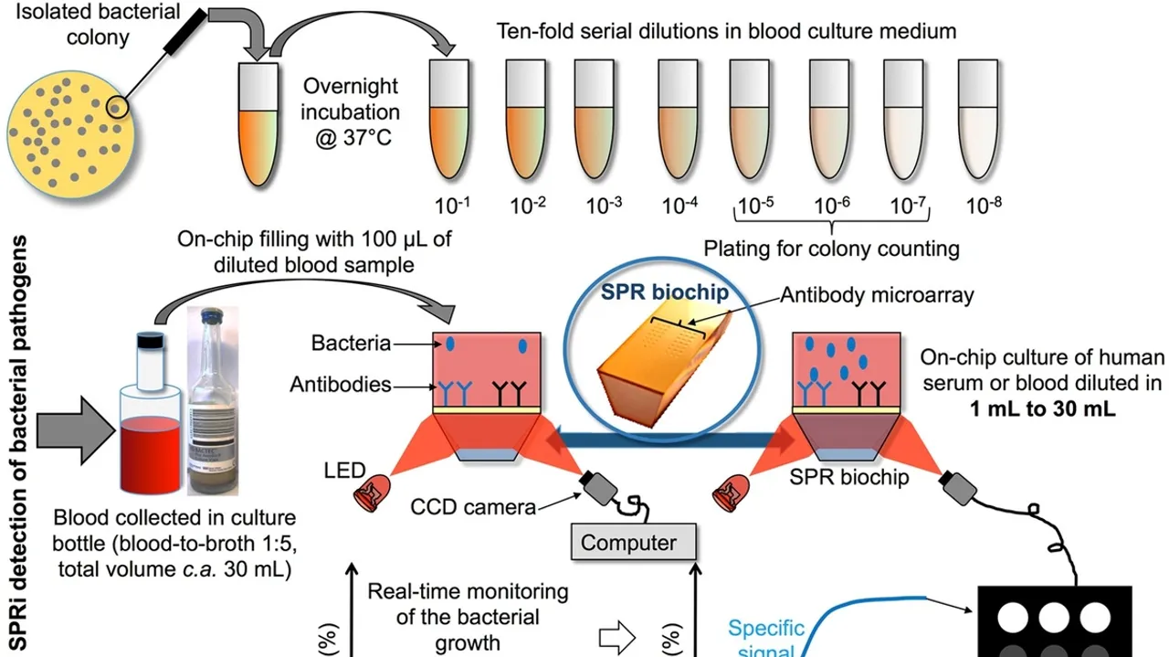Revolutionizing Pathogen Detection The Power of Digital DNA Melting