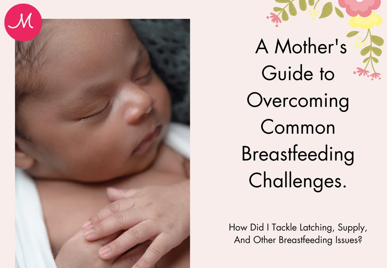 I've faced various challenges in my breastfeeding journey, seeking solutions to crucial aspects of lactation. Sharing my insights, I've tackled each obstacle encountered while nurturing my newborn. 