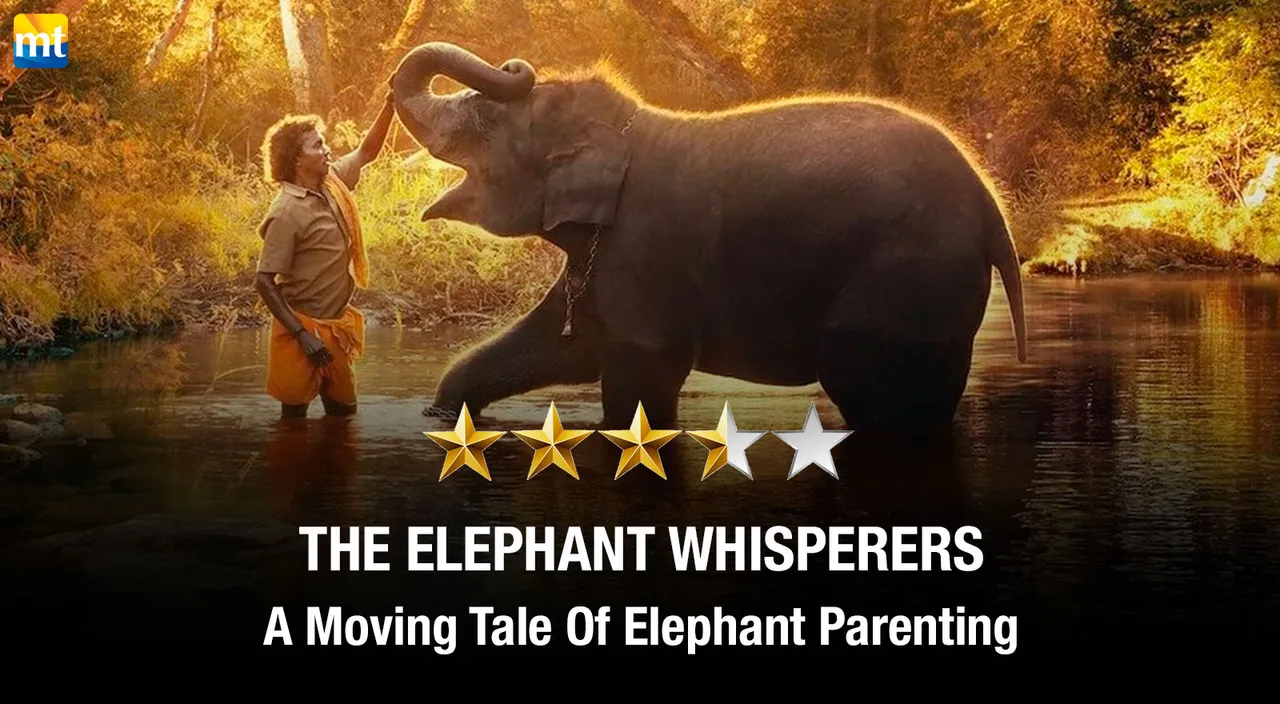 The Elephant Whisperers Review - A Moving Tale Of Elephant Parenting