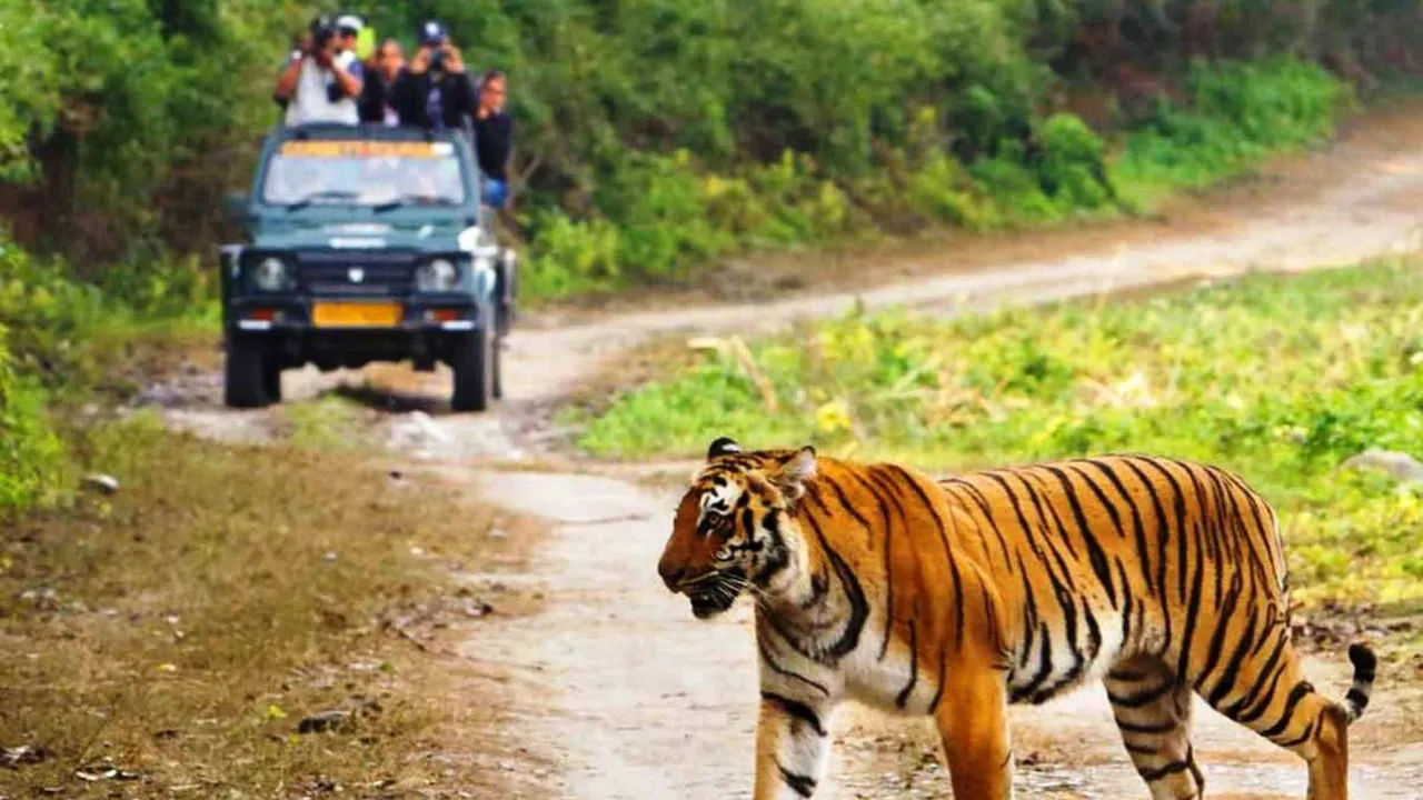 Illegal construction in Corbett: SC raps former Uttarakhand forest minister Rawat, ex-forest officer