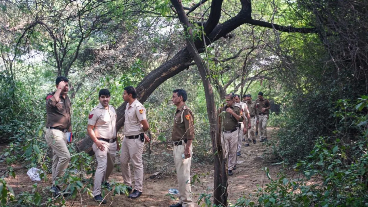 Delhi Police recover body parts from wooded area in north Delhi