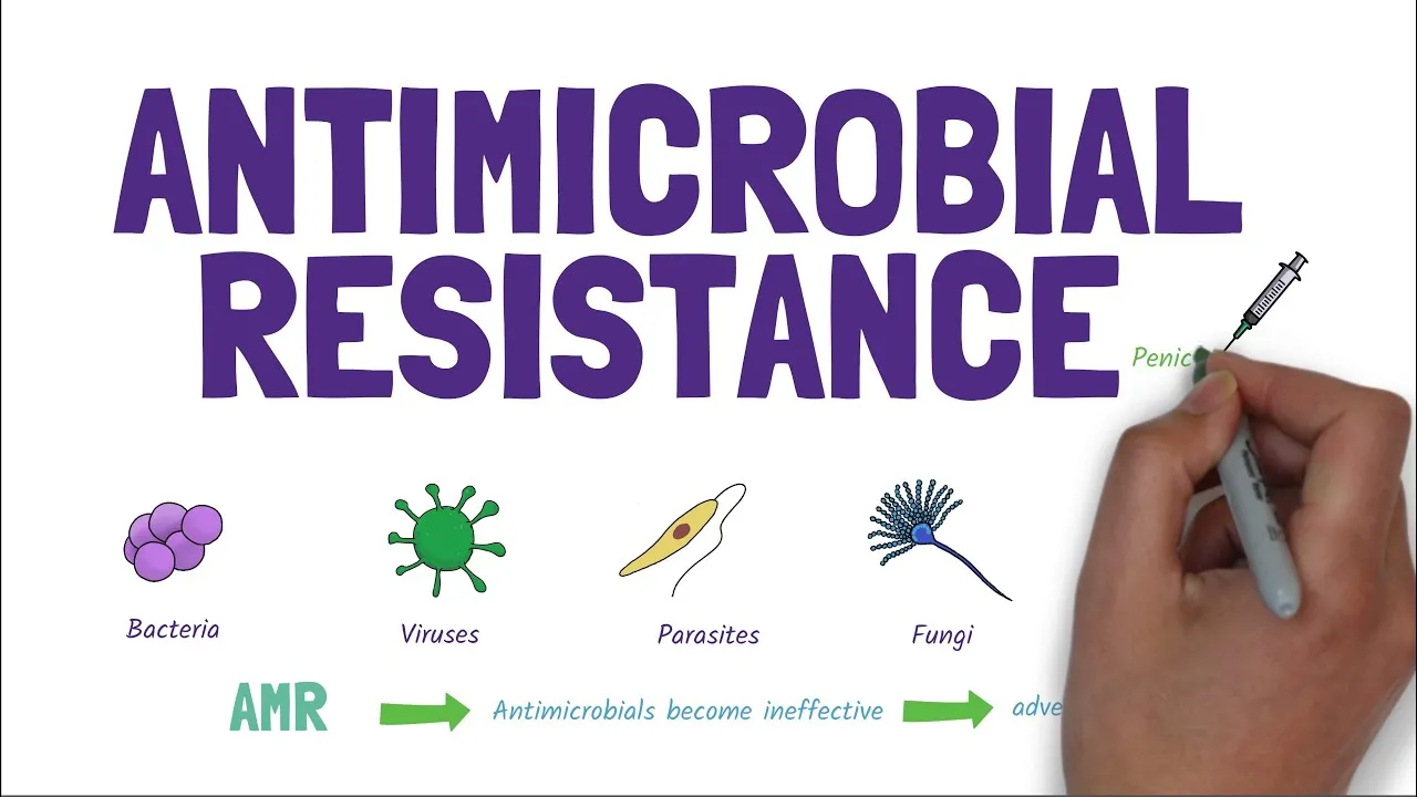 Antimicrobial Resistance.jpg