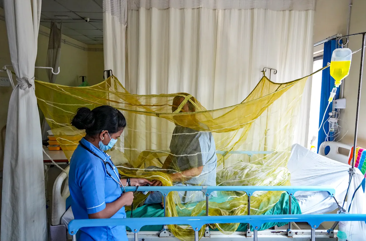  A hospital staffer attends a dengue patient under a mosquito net at a city hospital, in Kolkata