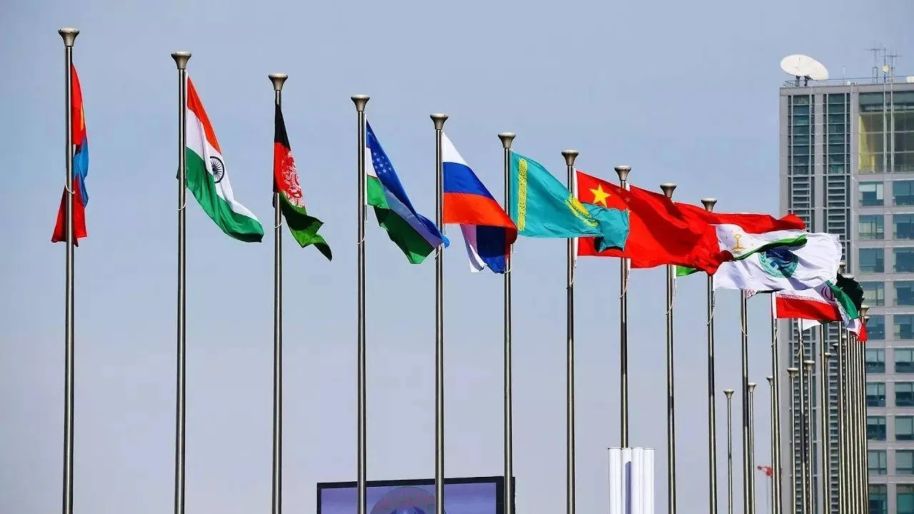 SCO members to play pivotal role in combating food and energy security challenges: India