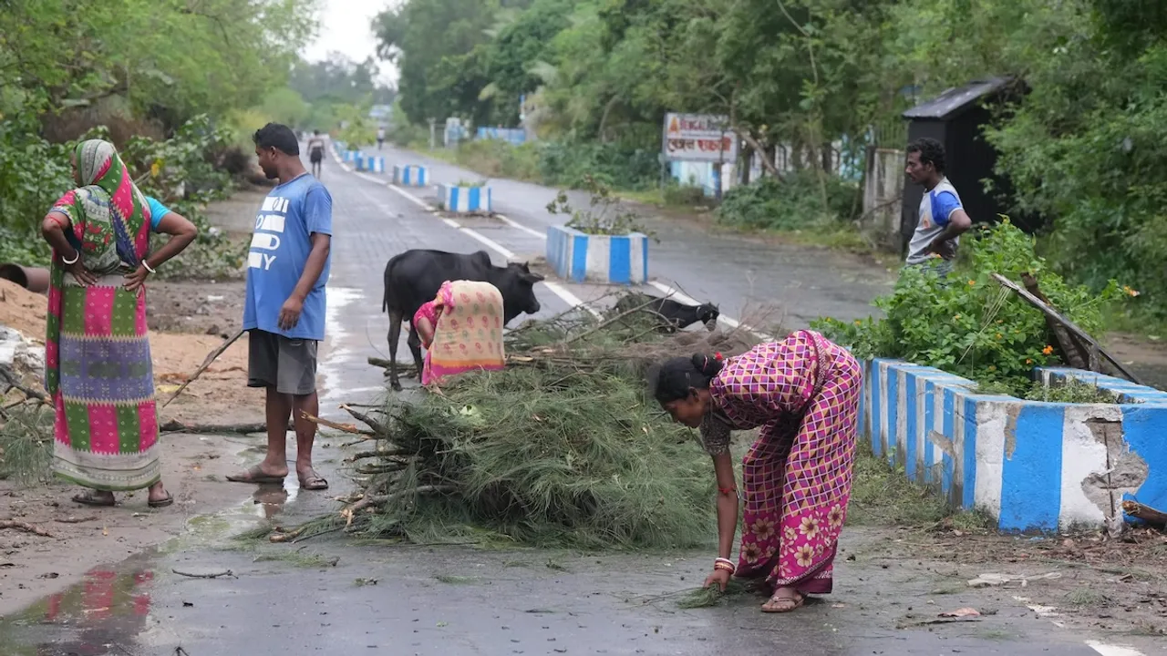 People remove uprooted trees from a road at Digha in the aftermath of Cyclone Dana, in Purba Medinipur district, West Bengal, Friday, Oct. 25, 2024.