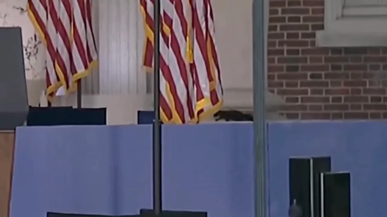 squirrel at kamala harris address