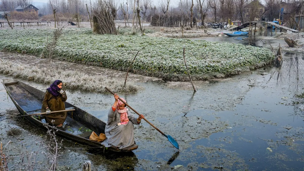 Women row their boat through the partially frozen interior Dal Lake during a cold winter morning, in Srinagar, Saturday, Dec. 14, 2024.