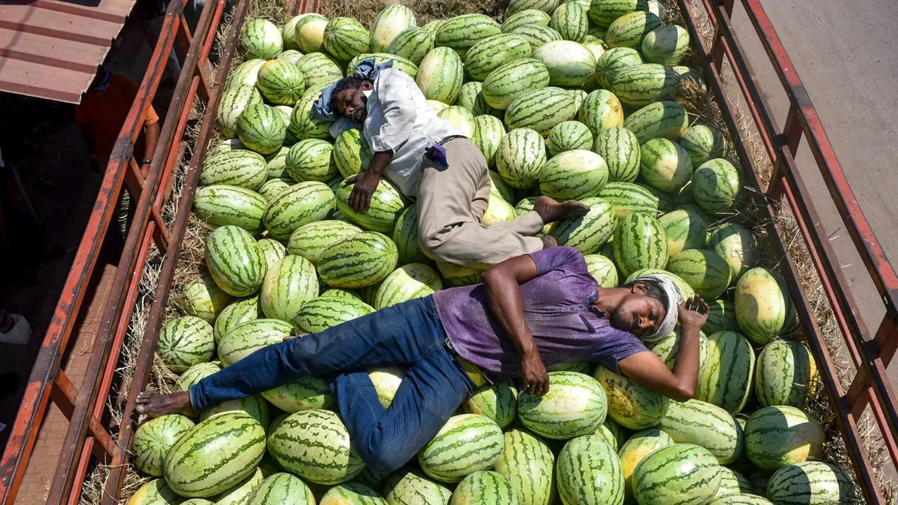Watermelons Heatwave Hot Weather Summers Sunny Day Delhi Weather