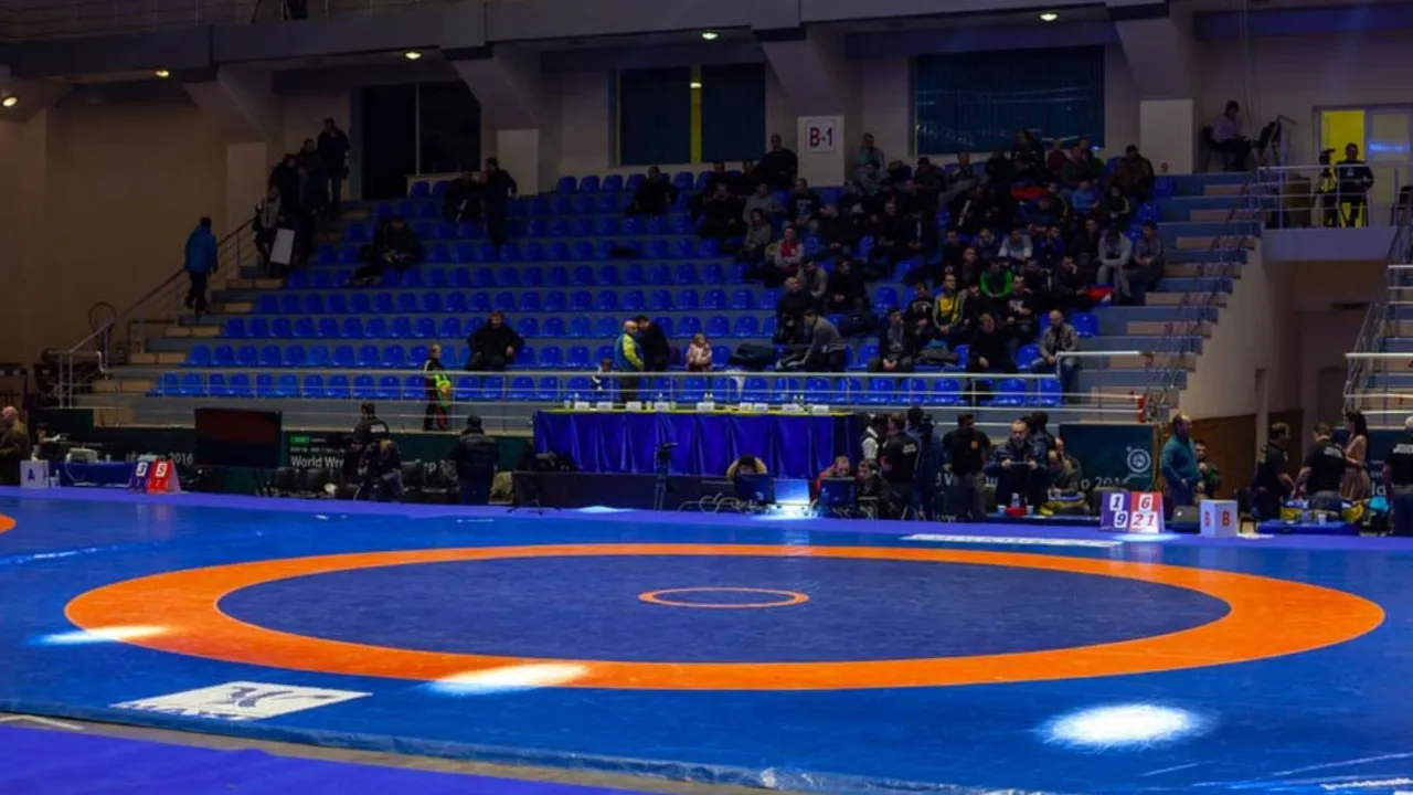 Wrestling turf image 