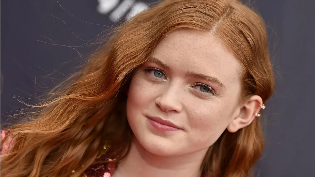 Sadie Sink image