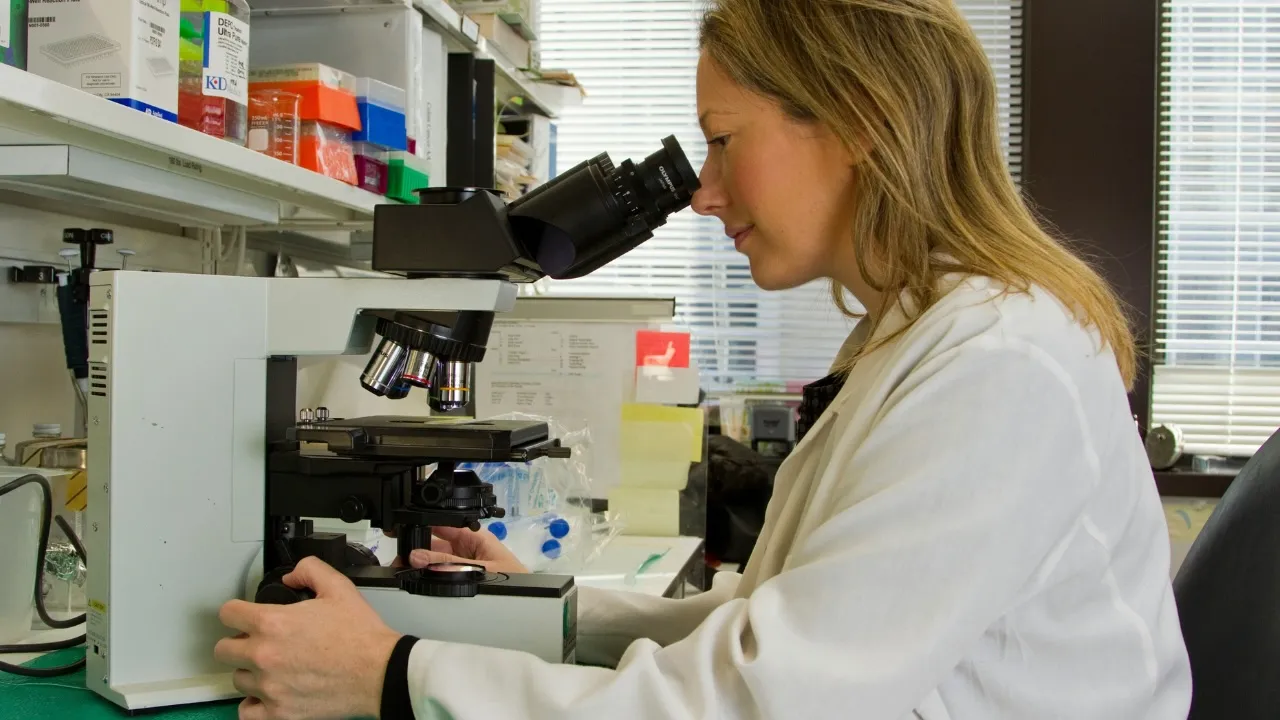 Adipose Tissue Research