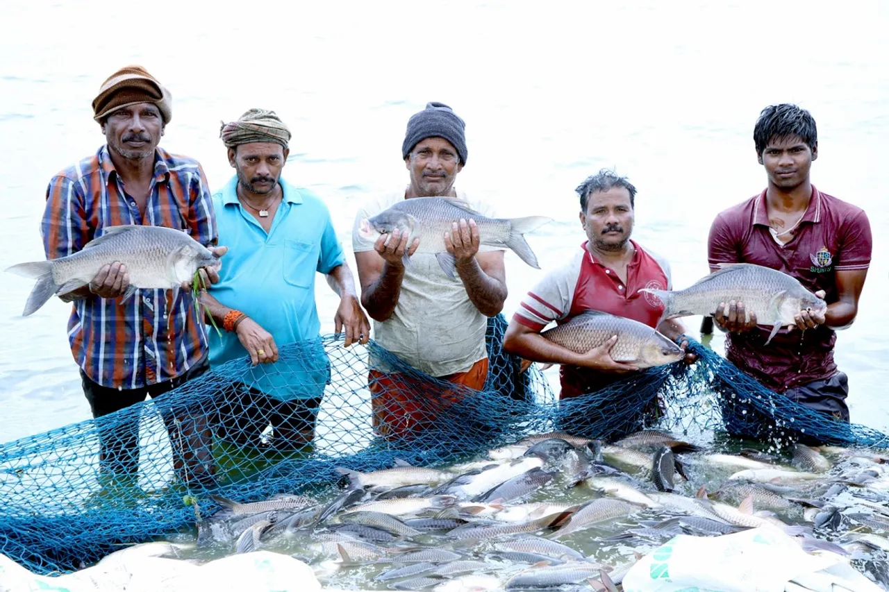 Inland fish production