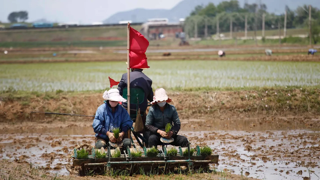 Amid severe food shortage, North Korea holds rare meeting on farming