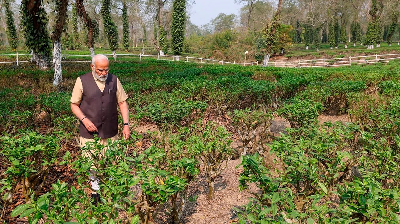 Prime Minister Narendra Modi visits Assam's tea gardens, on Saturday