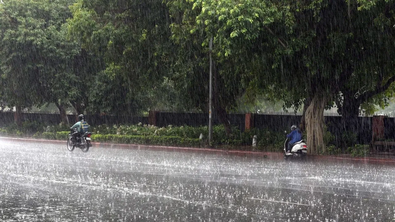 Rains in parts of Punjab, Haryana; Chandigarh records 11.9 deg C